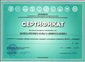 Сертификат участника семинара "Профессиональные конкурсы и выставки в парадигме ФГОС", 2017 год